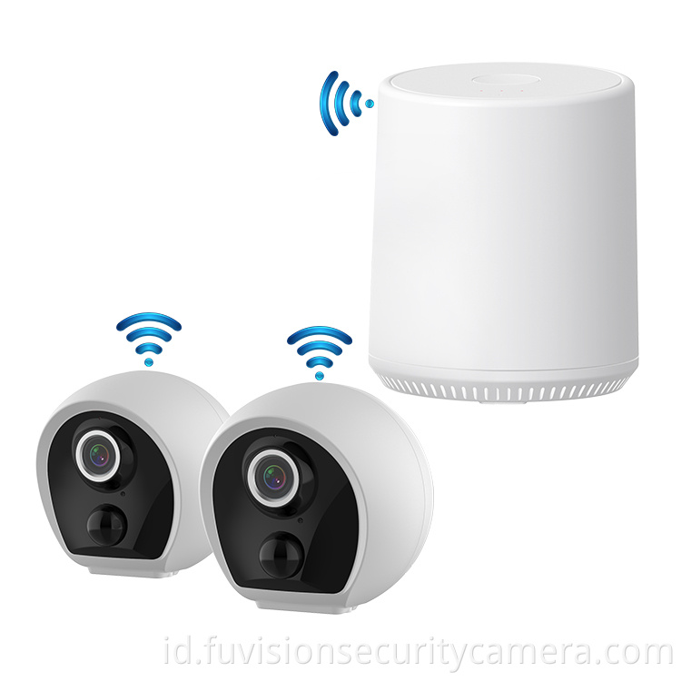 nvr security system